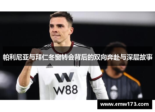 帕利尼亚与拜仁冬窗转会背后的双向奔赴与深层故事 帕利尼亚与拜仁冬窗转会背后的双向奔赴与深层故事