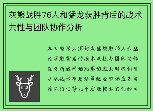 灰熊战胜76人和猛龙获胜背后的战术共性与团队协作分析 灰熊战胜76人和猛龙获胜背后的战术共性与团队协作分析